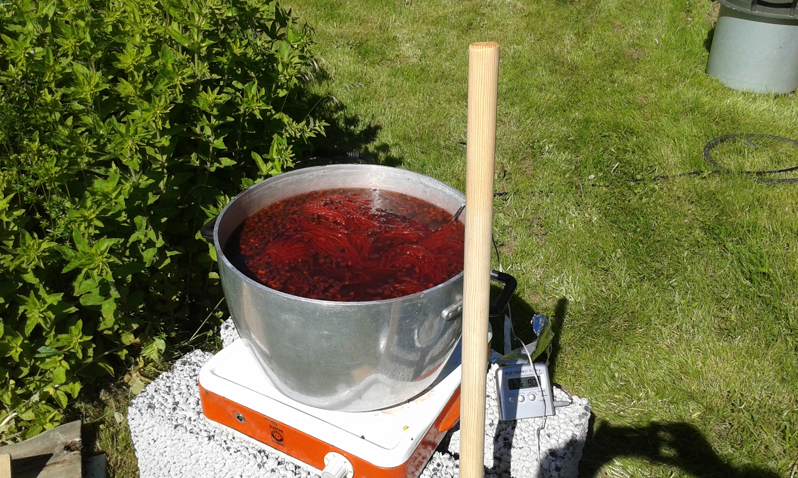 Växtfärgning 2015