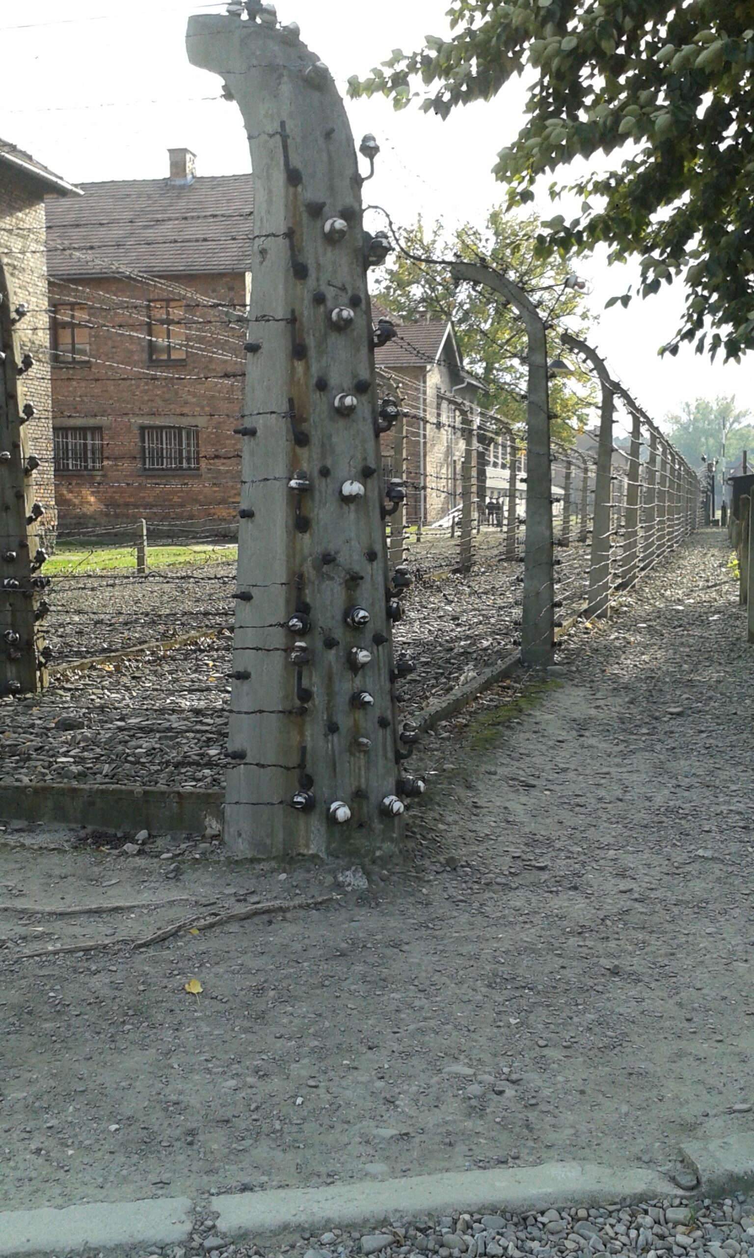 Kraków 2015