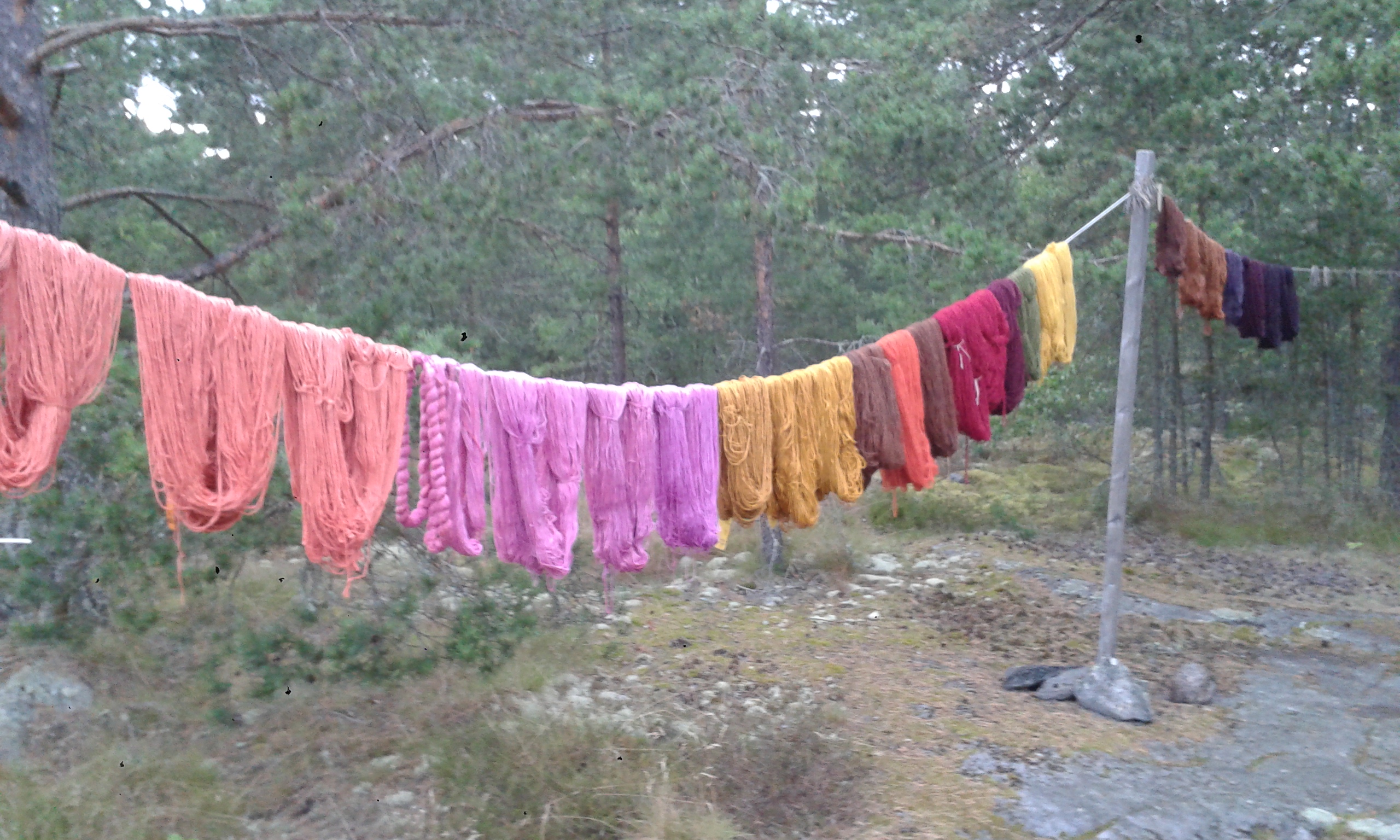 Växtfärgning 2016