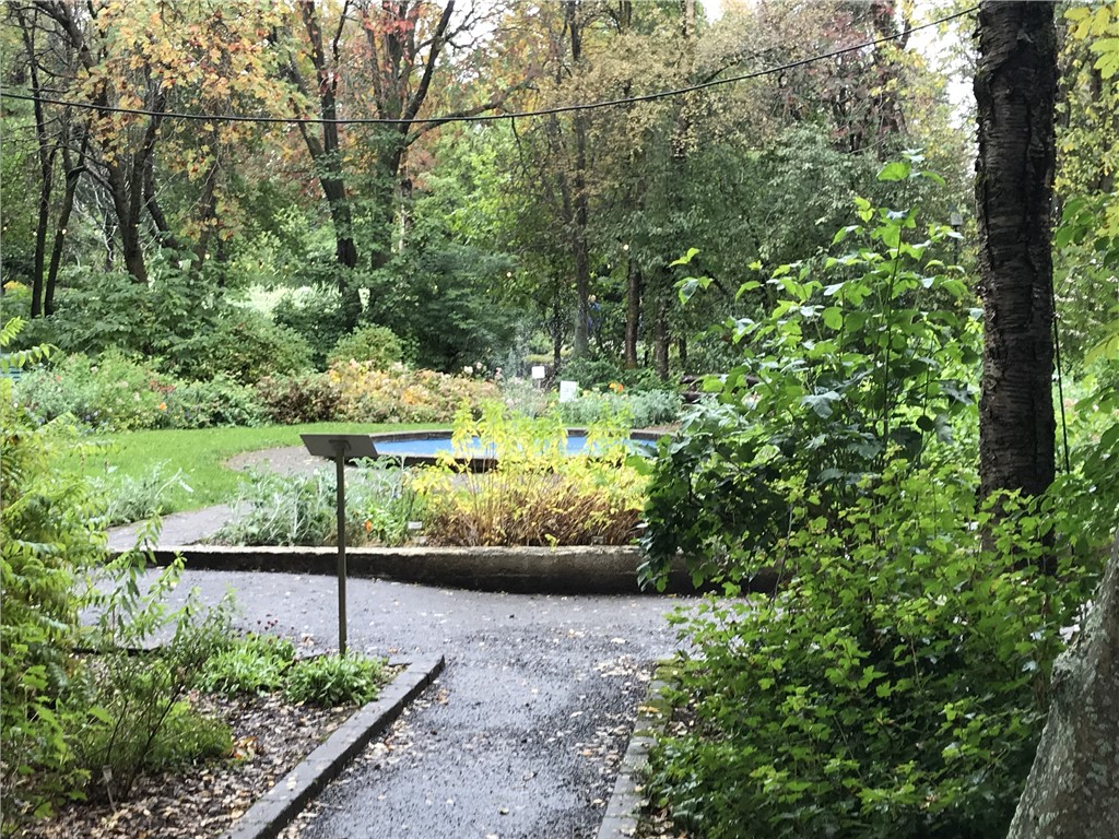 Island 2018 Botaniska trädgården