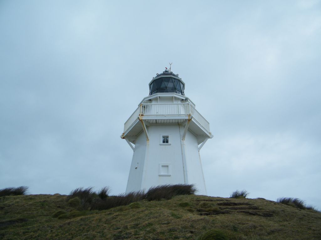 Nya Zeeland 2012