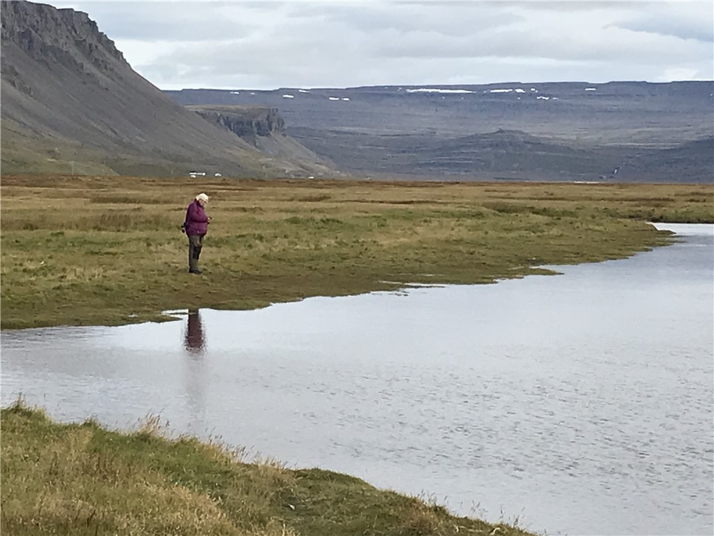 Island 2018 Raudasandur
