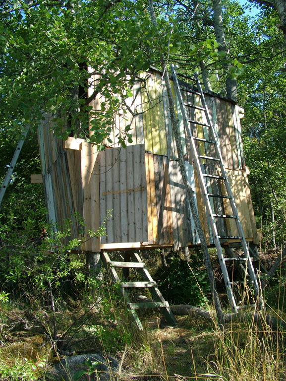 Koja