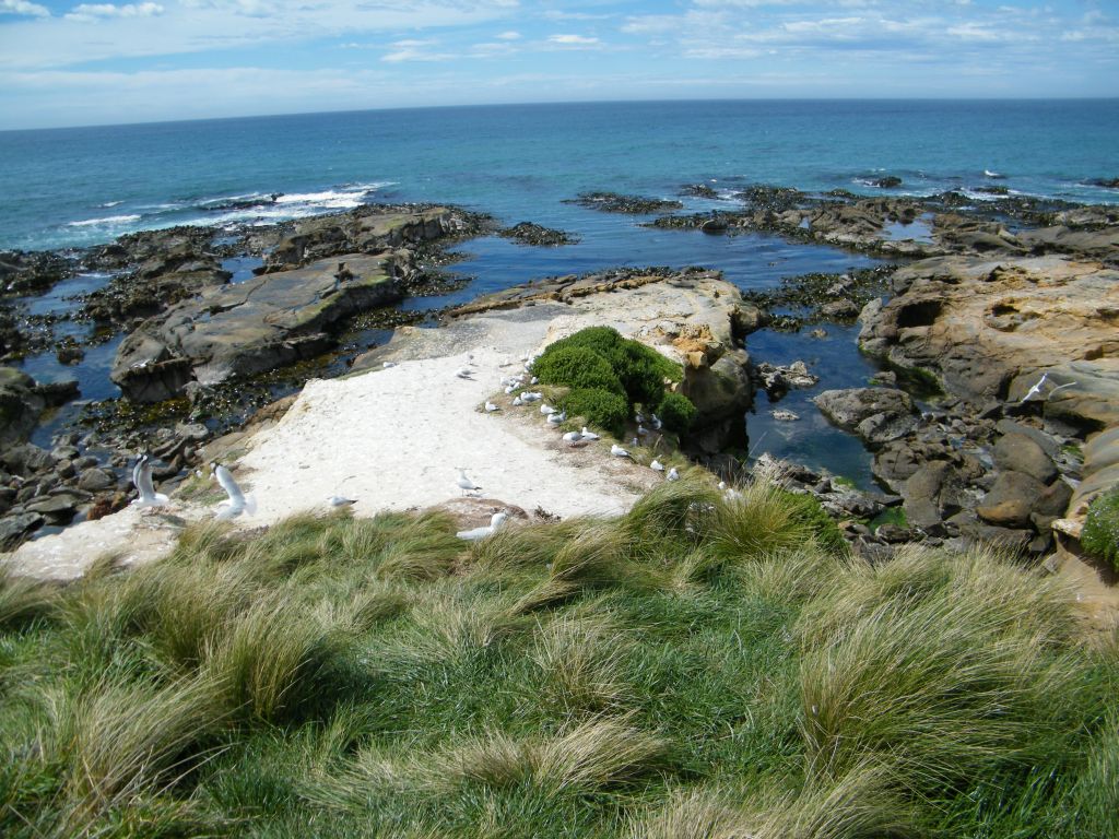 Nya Zeeland 2012
