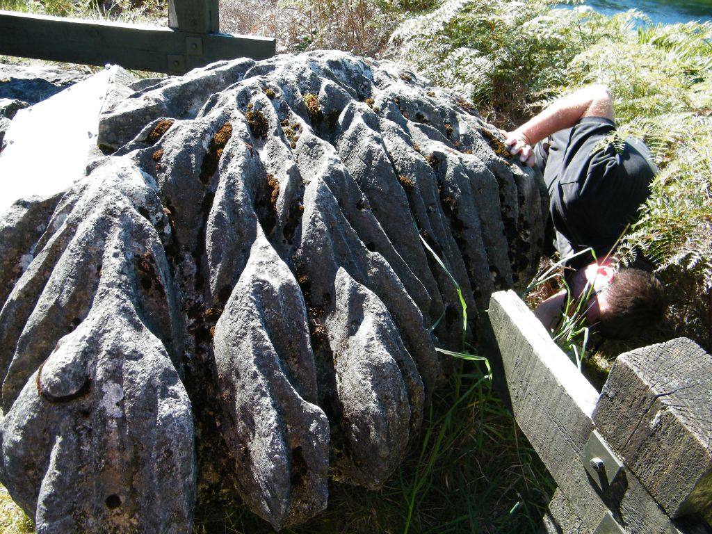 Nya Zeeland 2012